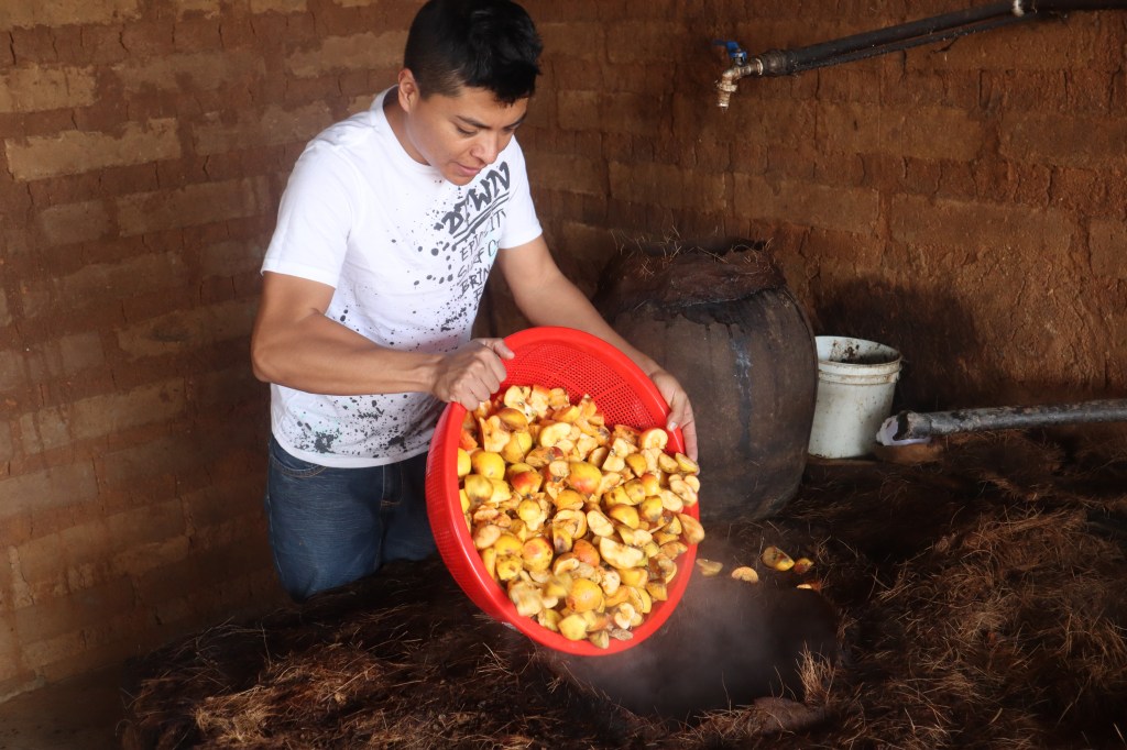 Alexis Canales Ángeles of Pasión Ancestral adds criollo apples to his ancestral pechuga distillation.