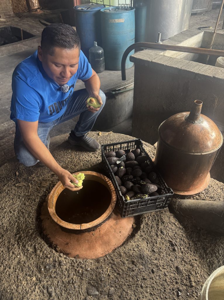 Carlos Mendez Blas distilling Espadín mezcal with avocado in Oaxaca, Mexico.
